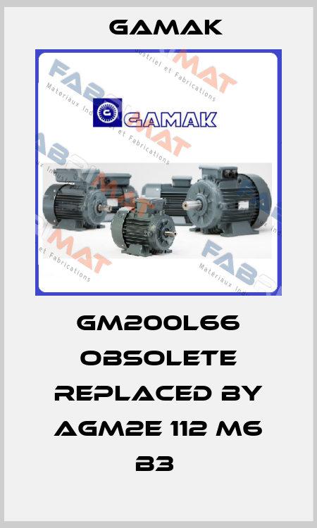 GM200L66 obsolete replaced by AGM2E 112 M6 B3  Gamak