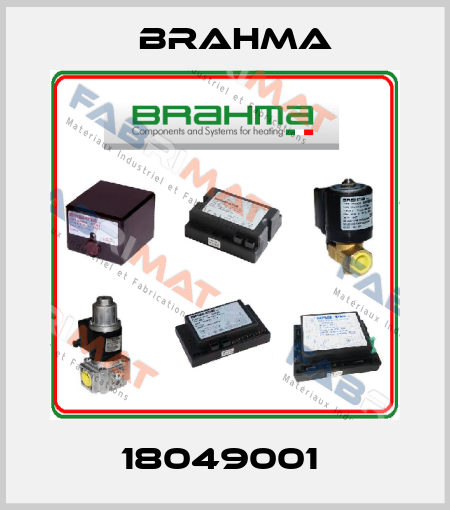 18049001  Brahma