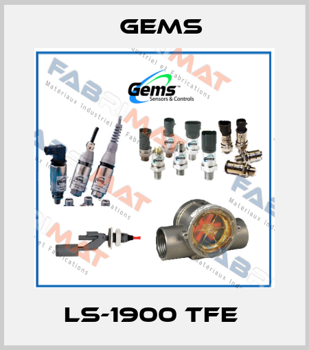 LS-1900 TFE  Gems