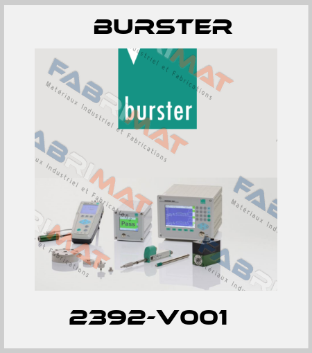 2392-V001   Burster