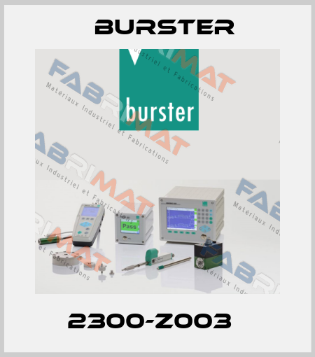 2300-Z003   Burster