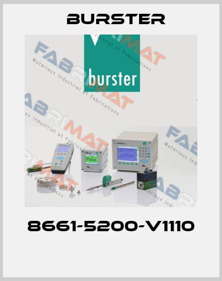 8661-5200-V1110  Burster