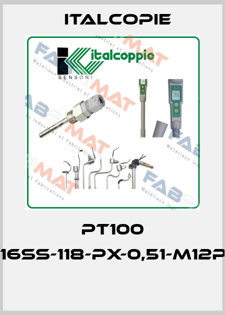 PT100 (P4A-316SS-118-PX-0,51-M12P-GPT8)  Italcopie