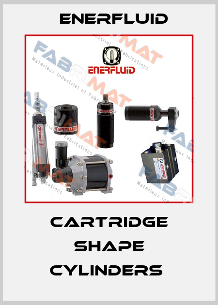 Cartridge shape cylinders  Enerfluid