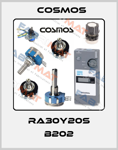 RA30Y20S B202 Cosmos