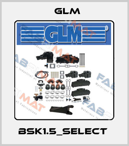 BSK1.5_SELECT  GLM