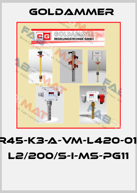 NTR70-SR45-K3-A-VM-L420-01-L1/300/S L2/200/S-I-MS-PG11  Goldammer