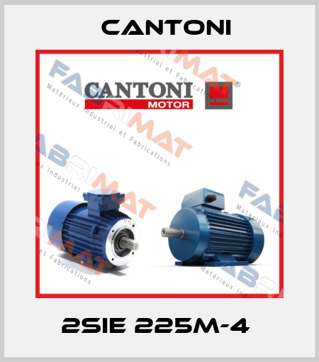 2SIE 225M-4  Cantoni