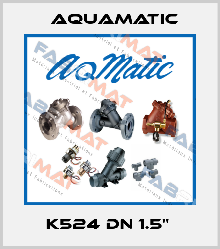 K524 DN 1.5"  AquaMatic