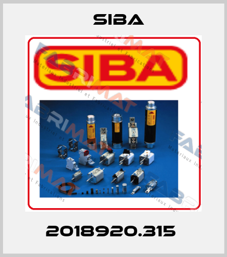  2018920.315  Siba