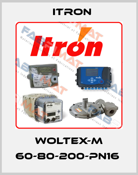 WOLTEX-M 60-80-200-PN16  Itron