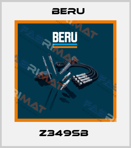 Z349SB  Beru