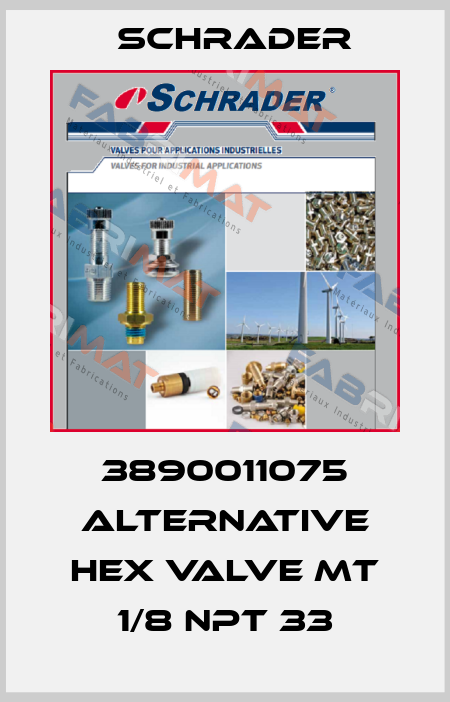 3890011075 alternative HEX VALVE MT 1/8 NPT 33 Schrader