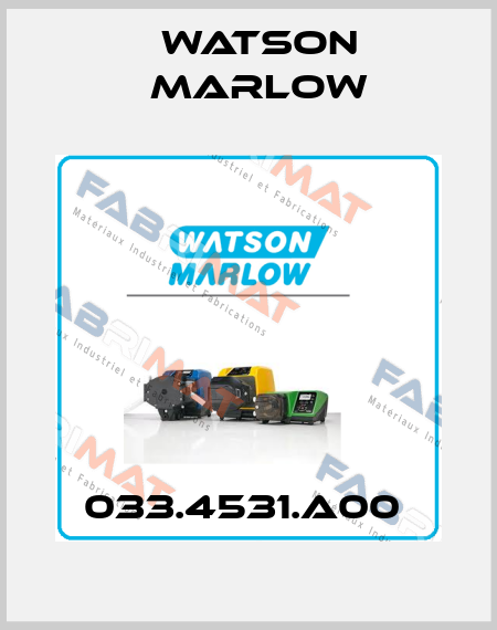 033.4531.A00  Watson Marlow