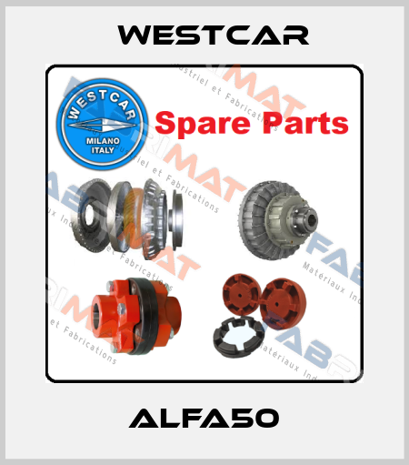 ALFA50 Westcar
