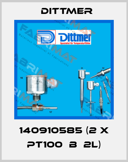 140910585 (2 x PT100  B  2L) Dittmer