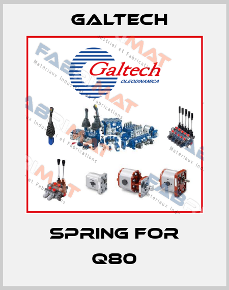 spring for Q80 Galtech