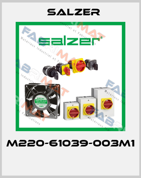 M220-61039-003M1  Salzer