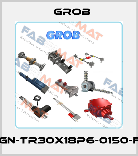 MJ3-GN-TR30x18P6-0150-FP-FB Grob