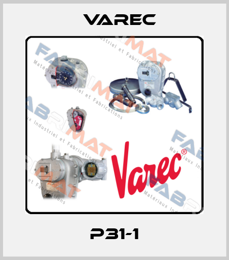 P31-1 Varec