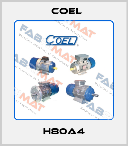 H80A4 Coel