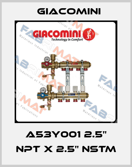A53Y001 2.5" NPT X 2.5" NSTM Giacomini