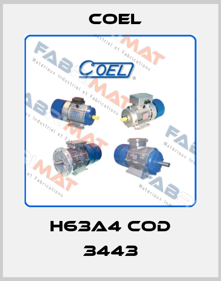 H63A4 cod 3443 Coel