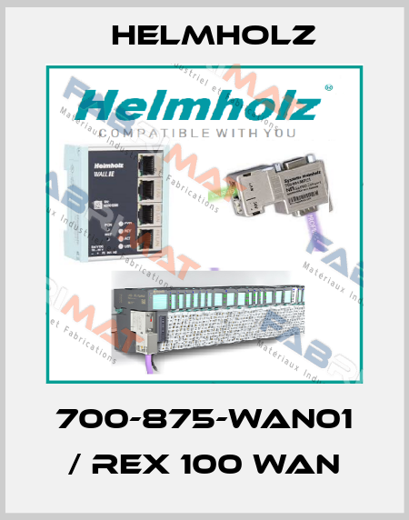 700-875-WAN01 / REX 100 WAN Helmholz