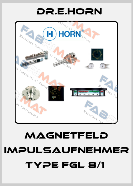 MAGNETFELD IMPULSAUFNEHMER TYPE FGL 8/1  Dr.E.Horn