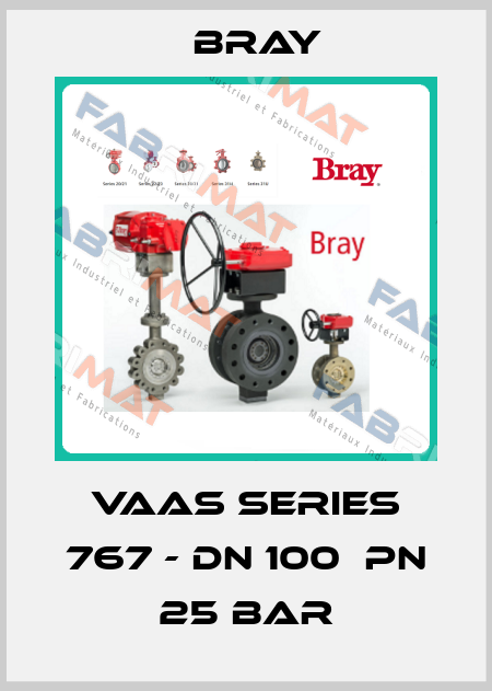 VAAS Series 767 - DN 100  Pn 25 bar Bray
