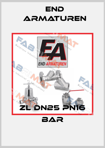 ZL DN25 Pn16 bar End Armaturen