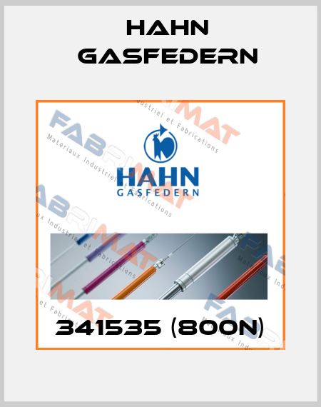 341535 (800N) Hahn Gasfedern