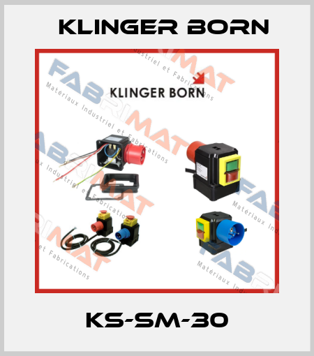 KS-SM-30 Klinger Born