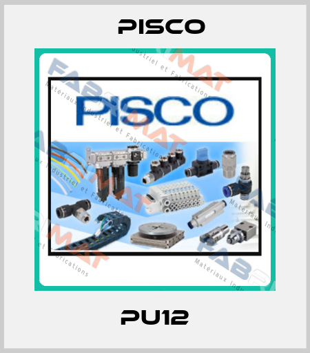 PU12 Pisco