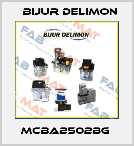 MCBA2502BG  Bijur Delimon