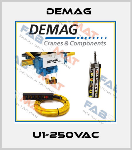 U1-250VAC Demag