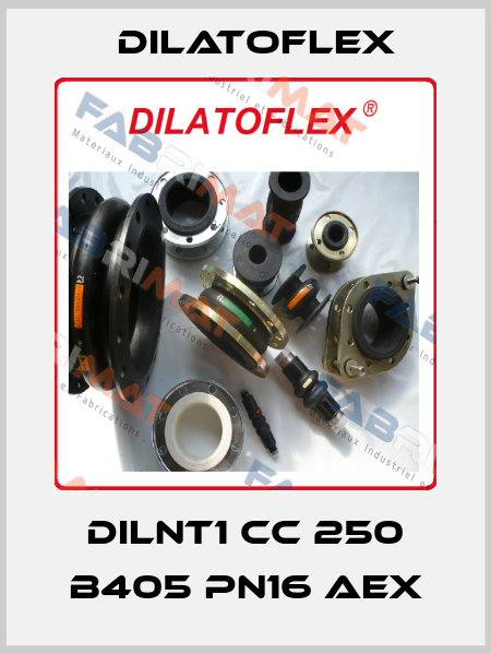 DILNT1 CC 250 B405 PN16 AEX DILATOFLEX