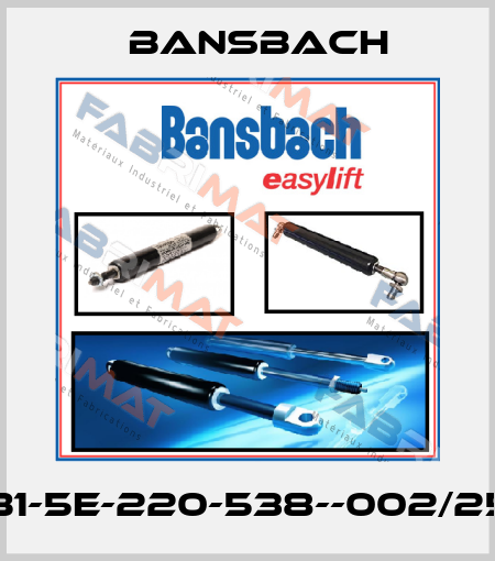 K2B1-5E-220-538--002/250N Bansbach