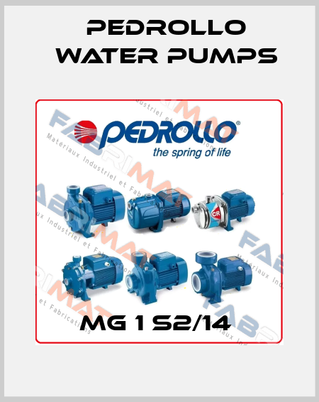 MG 1 S2/14  Pedrollo Water Pumps