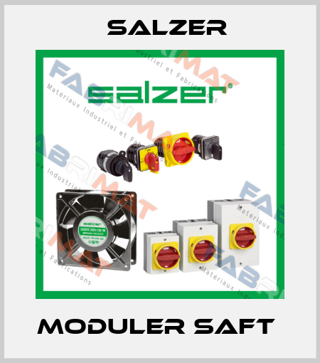 MODULER SAFT  Salzer