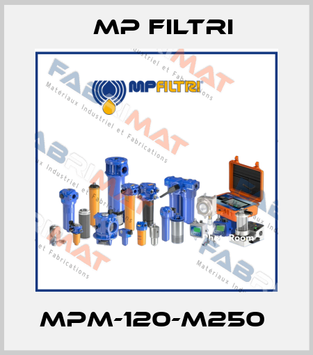 MPM-120-M250  MP Filtri