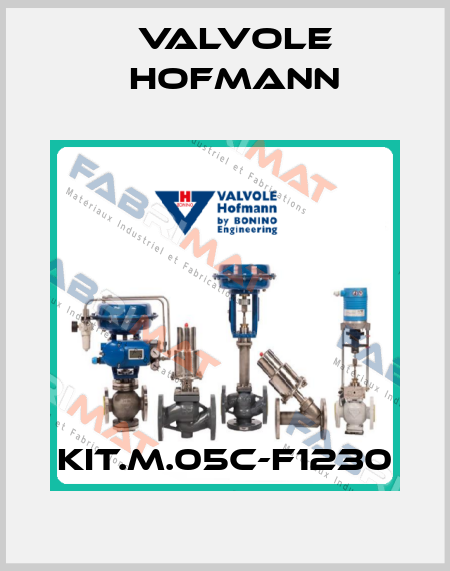 KIT.M.05C-F1230 Valvole Hofmann