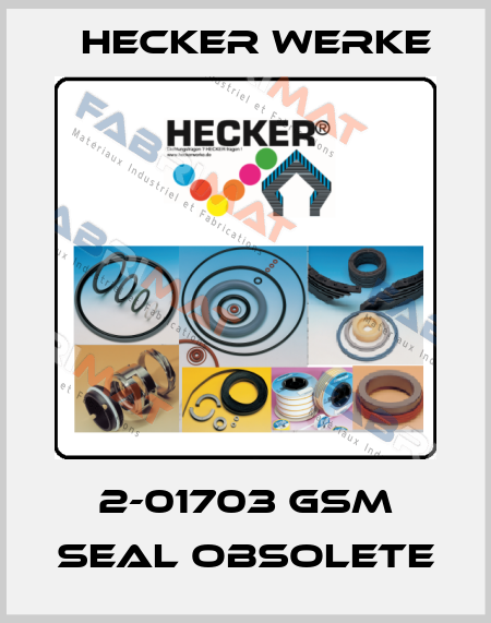 2-01703 GSM seal obsolete Hecker Werke