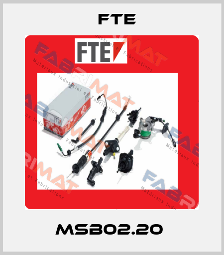MSB02.20  FTE