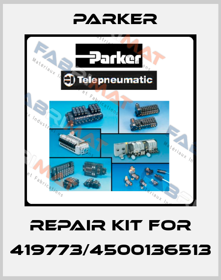 Repair kit for 419773/4500136513 Parker