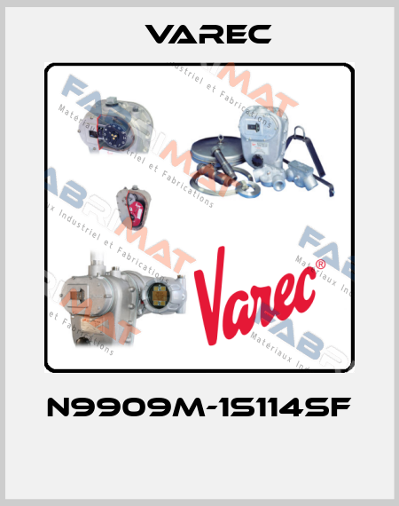 N9909M-1S114SF  Varec