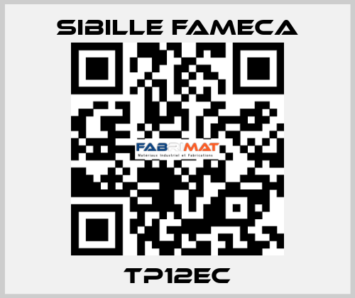 TP12EC Sibille Fameca