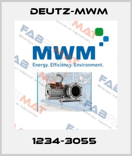 1234-3055  Deutz-mwm