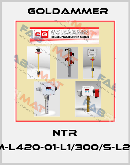 NTR 70-SR45K3-A-VM-L420-01-L1/300/S-L2/200/S-I-MS-PG11 Goldammer