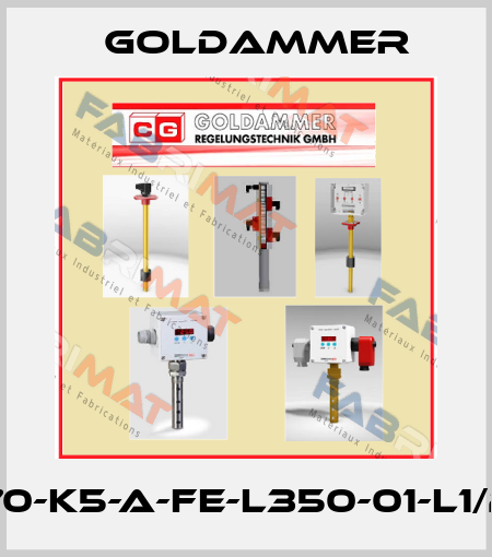 NTR-70-K5-A-FE-L350-01-L1/230/S Goldammer